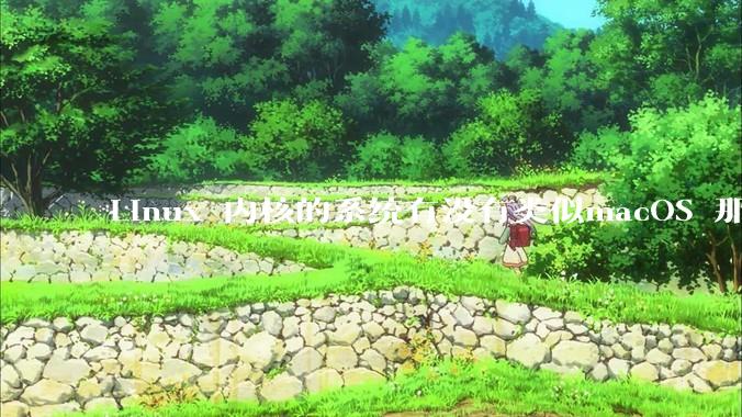 Linux 内核的系统有没有类似macOS 那样漂亮流畅的桌面环境的发行版本?