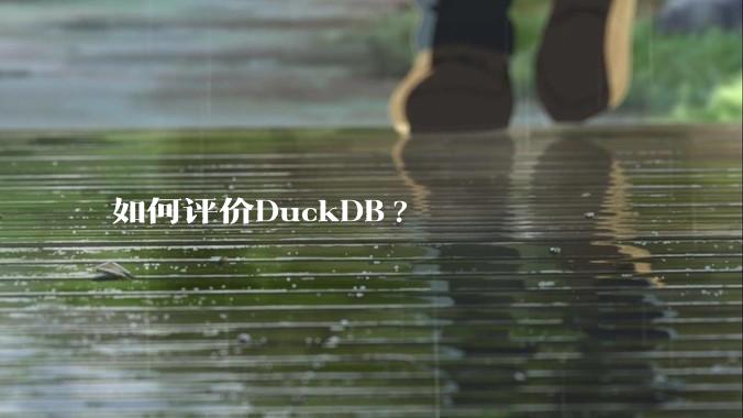 如何评价DuckDB?