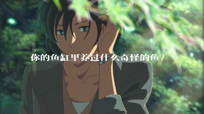 你的鱼缸里养过什么奇怪的鱼？